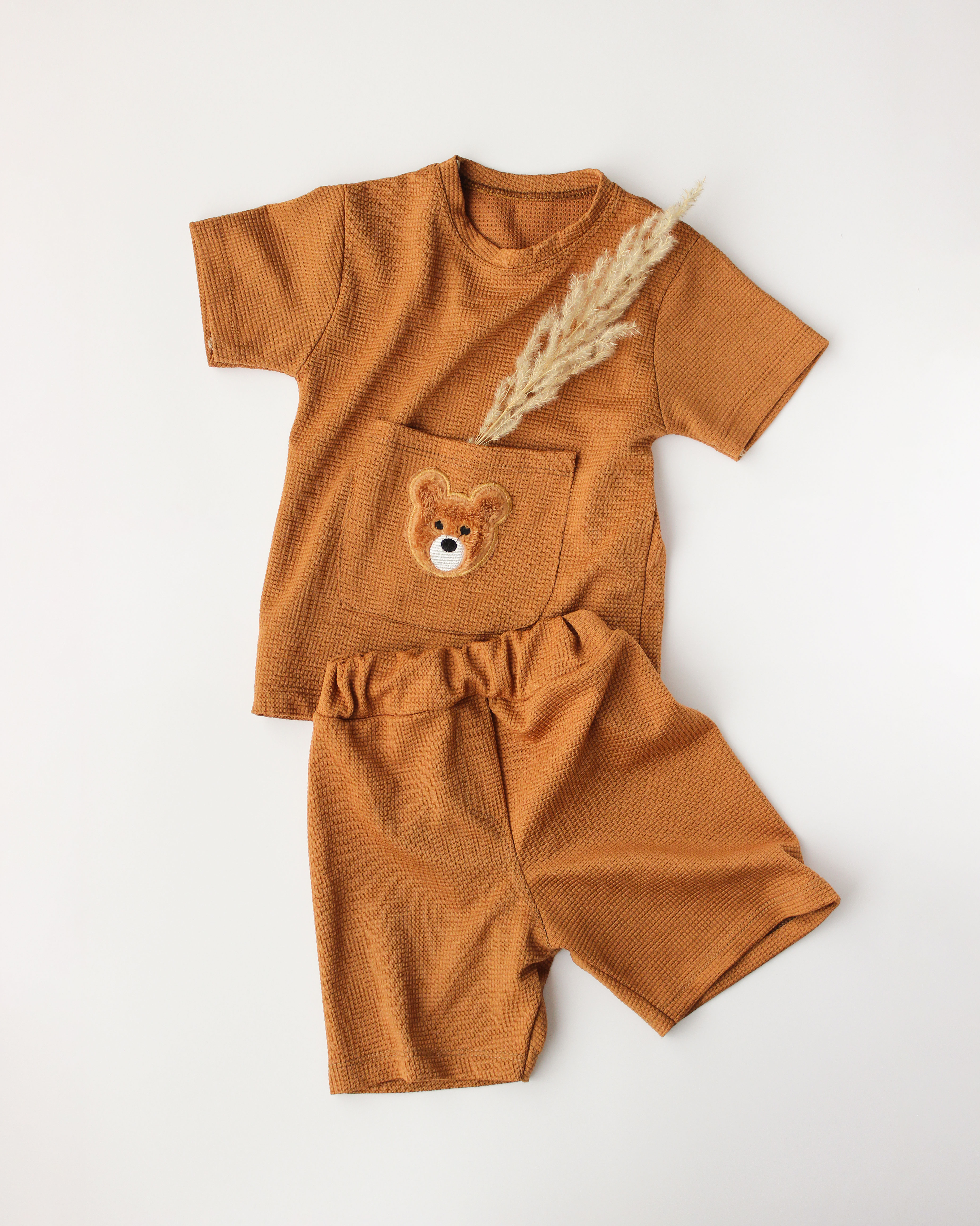 ست تیشرت شلوارک بیسکویتی طرح تدی